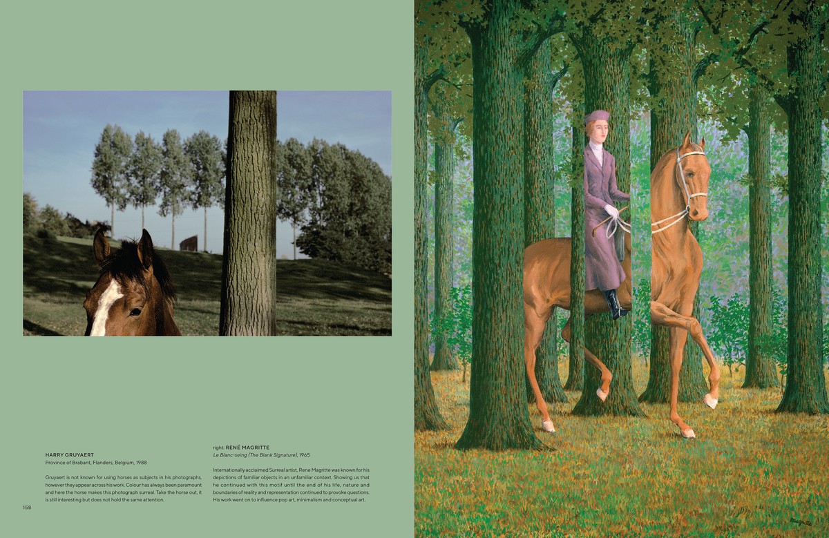 All The Pretty Horses 8781