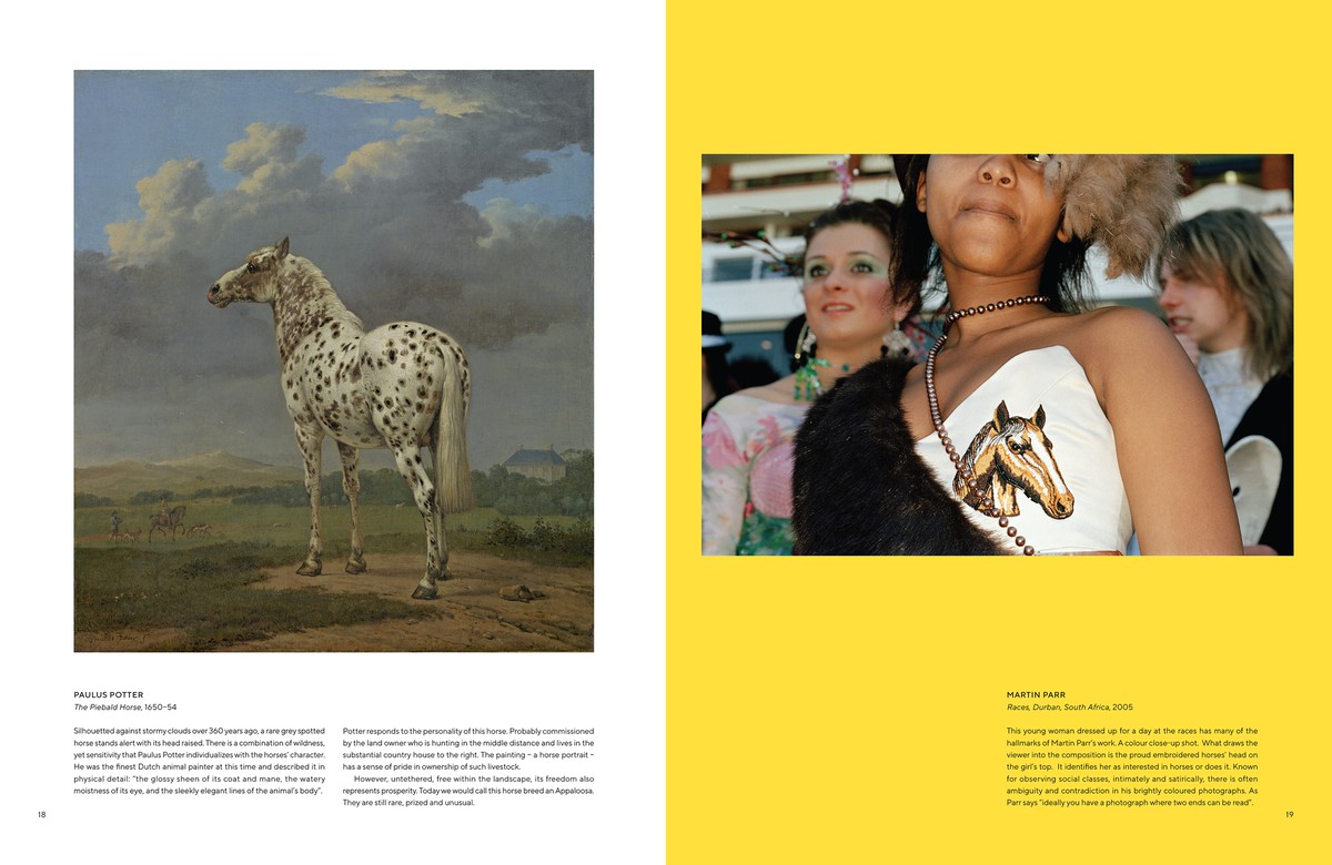 All The Pretty Horses 8776