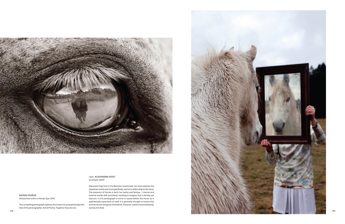 All The Pretty Horses 8784