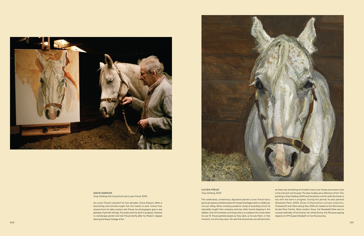 All The Pretty Horses 8785