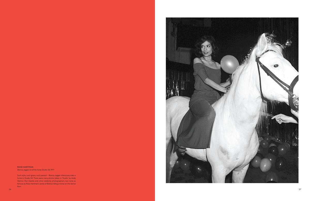 All The Pretty Horses 8777