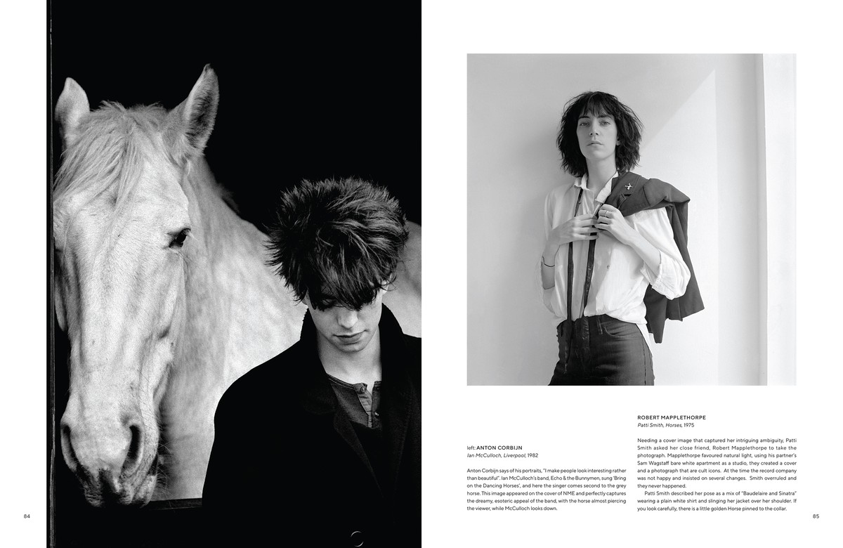 All The Pretty Horses 8779