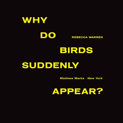 Why Do Birds Suddenly Appear?